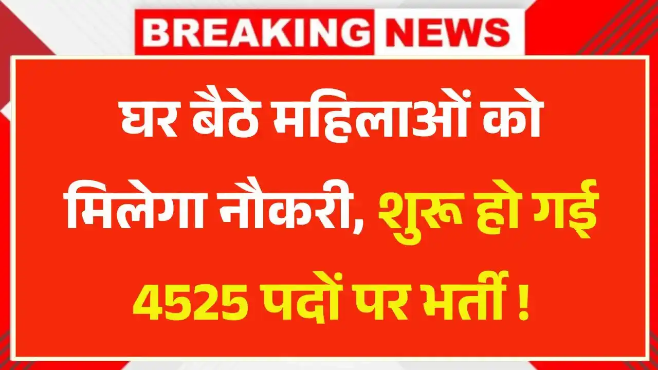 Mukhyamantri Work From Home Yojana 2025